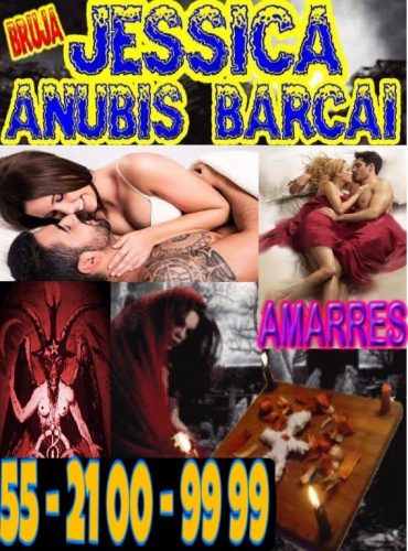 Anubis8