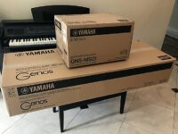Yamaha Genos 3